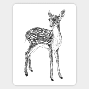 Ink drawing of a fawn Magnet